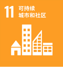 SDG 11