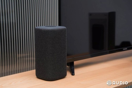 Voice Control