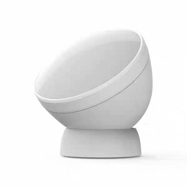 PIR Motion Sensor